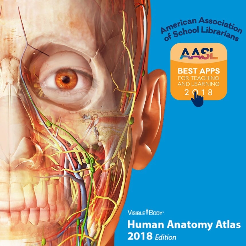 Visible Body Wins Best App for Teaching and Learning